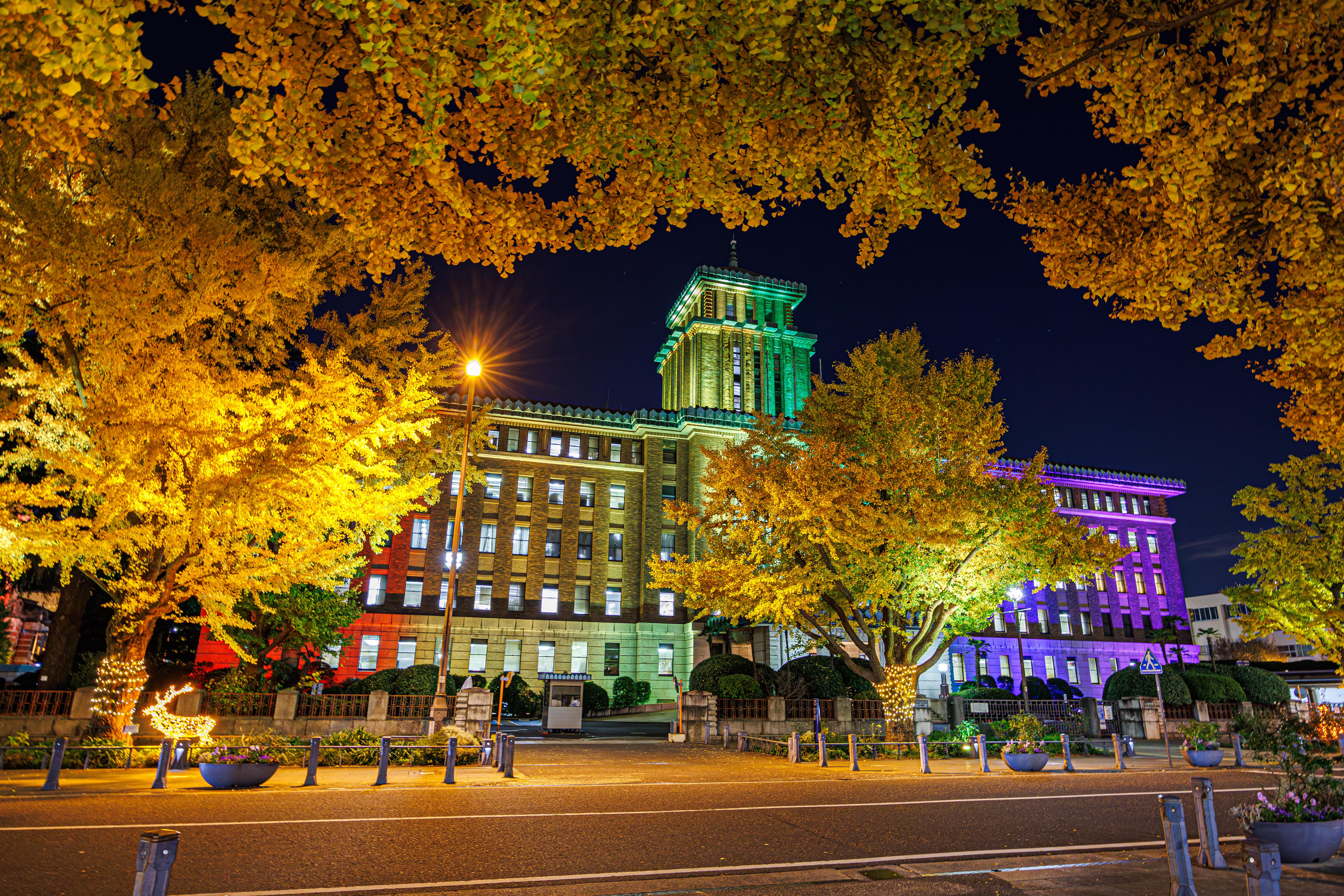 秋色の日本大通り