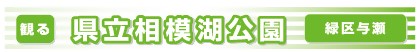 県立相模湖公園