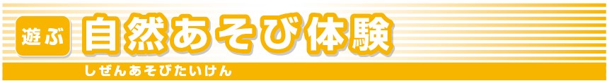 自然あそび体験（自然観察センターしらかしのいえ）