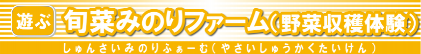 旬菜みのりファーム