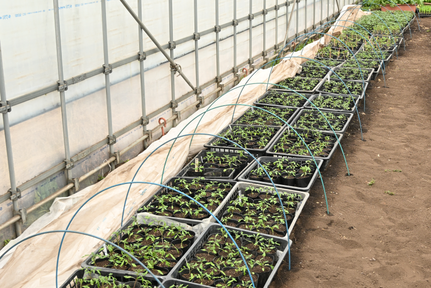 旬菜みのりファーム