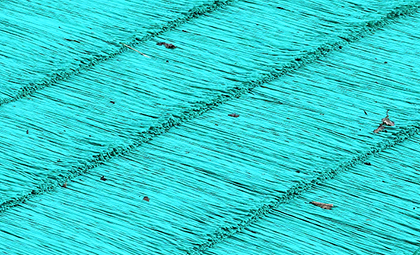 使用されている素材