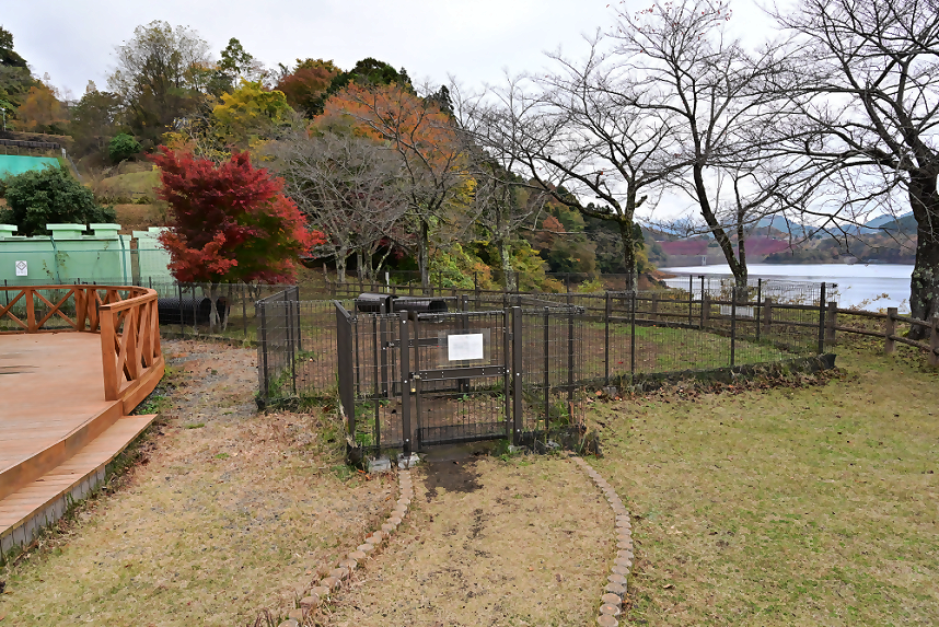 ドッグランの様子