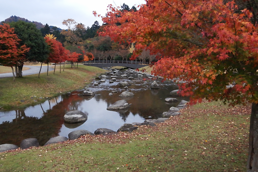 じゃぶじゃぶ池の様子