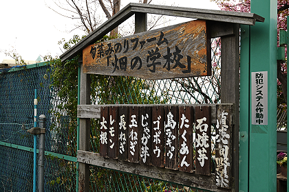 旬菜みのりファーム（野菜収穫体験）入口
