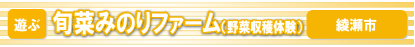 旬菜みのりファーム（野菜収穫体験）