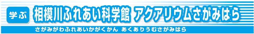 相模川ふれあい科学館アクアリウムさがみはら