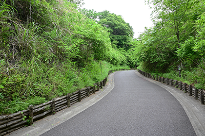 管理棟前の一本道