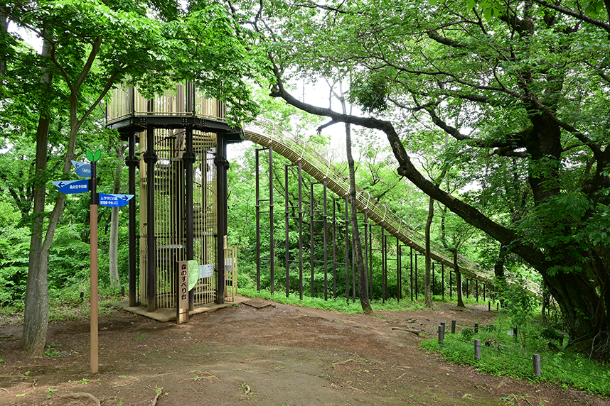 あつぎこどもの森公園の「森のすべり台」」