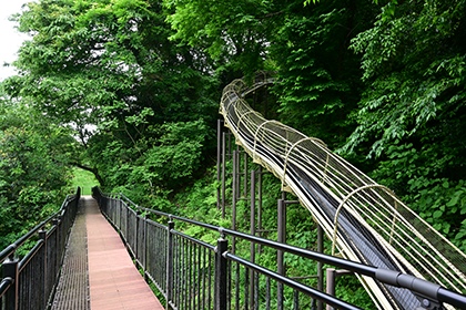 森のすべり台の様子