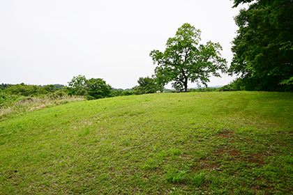 くぬぎの丘からの風景