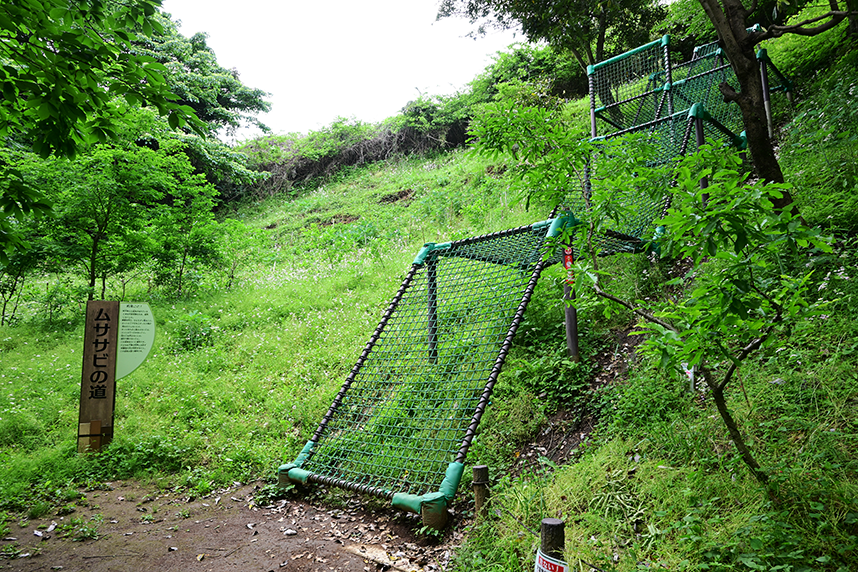ムササビの道