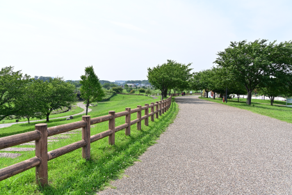 大和ゆとりの森