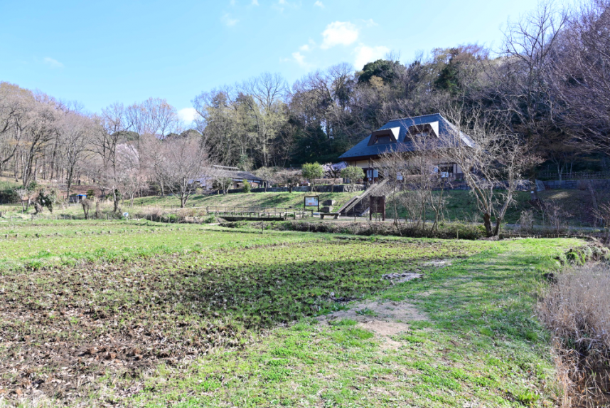 田んぼから里山体験館を望む