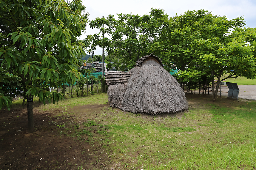 縄文時代の展示2