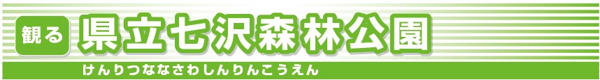 県立七沢森林公園