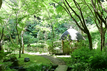 寸草亭からの風景