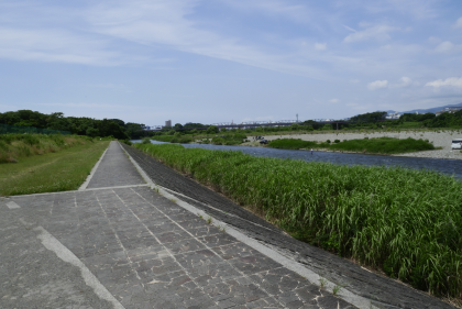 県立三川公園の横を流れる相模川