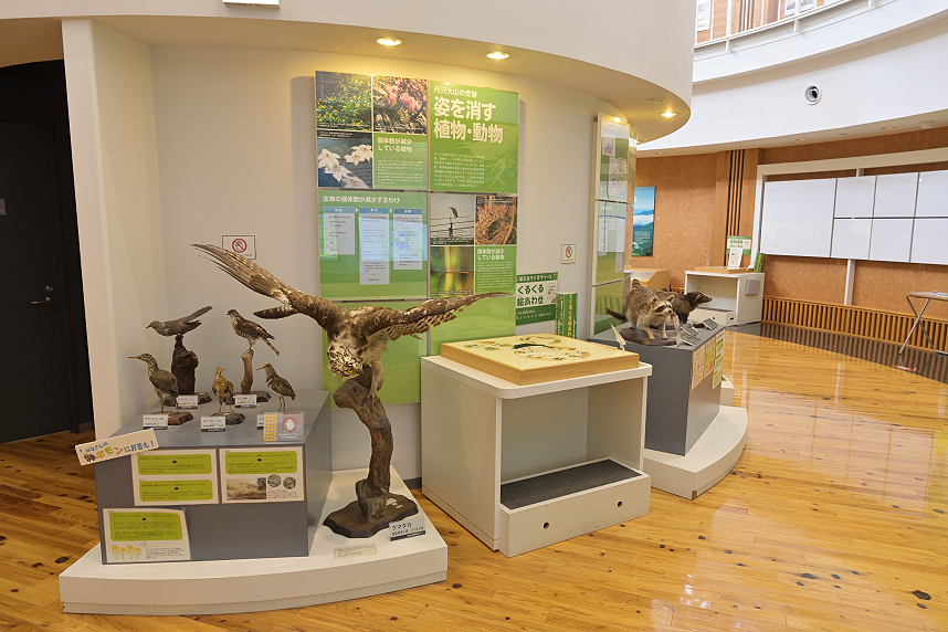 一階の展示の様子