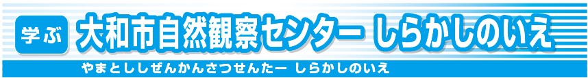 大和市自然観察センターしらかしのいえ