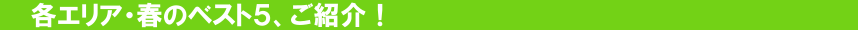 春のベスト5