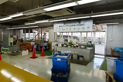 レインボープラザ（愛川繊維会館）藍染め