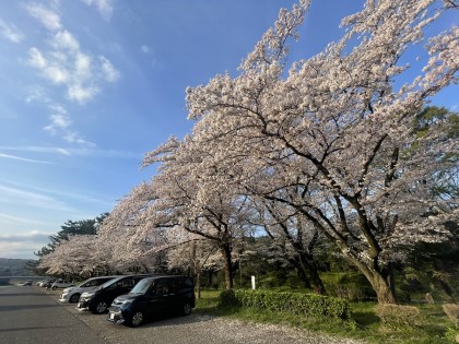 上大島キャンプ場