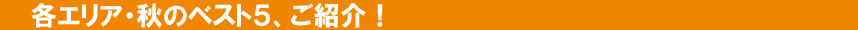 秋のベスト5
