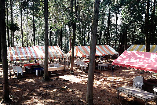 モナの丘にあるBBQ場