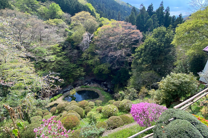 陣谷温泉からの風景
