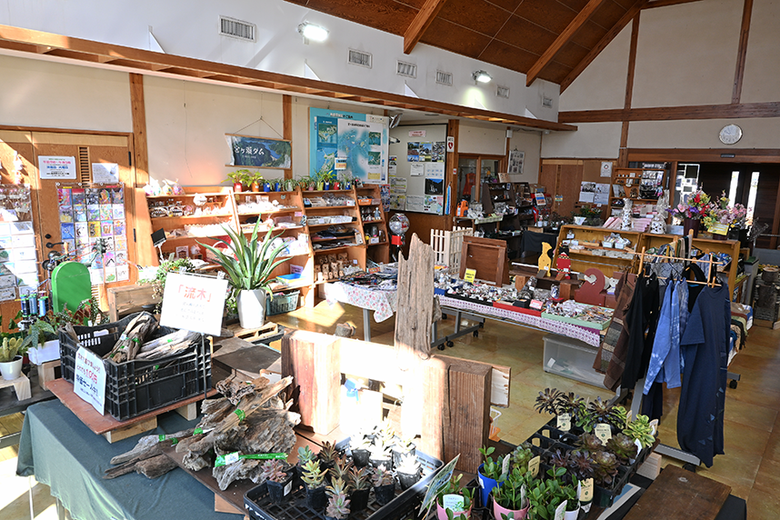 お土産コーナー