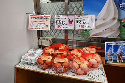 地場産の卵