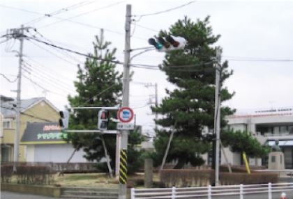 二本松交差点の松