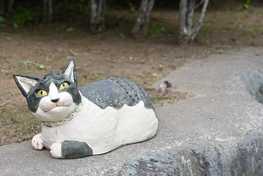 店舗の並び_入り口