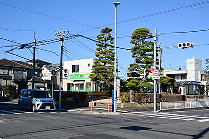 二本松交差点の松