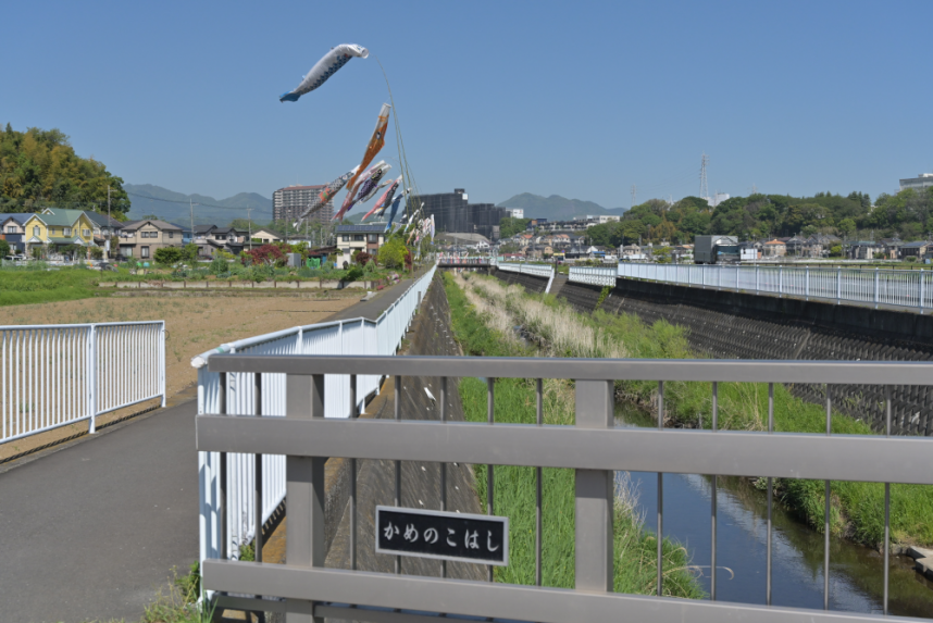 橋の手前から