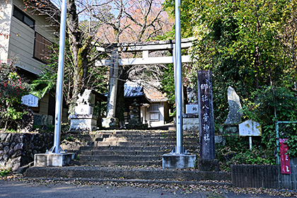 八菅山いこいの森