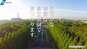 神奈川県立都市公園PV