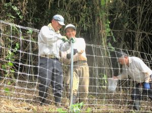 有害鳥獣対策の写真1