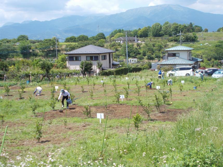 農園の様子