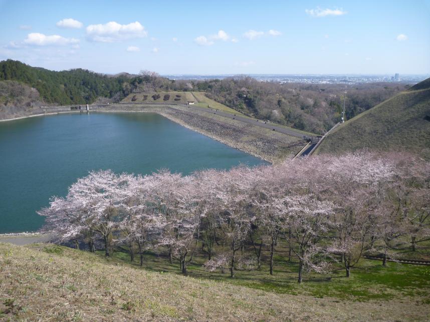 発電総合制御所周辺＿春の写真2