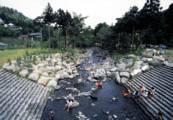 夏の幕山公園の様子