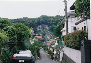 都市近郊の治山写真