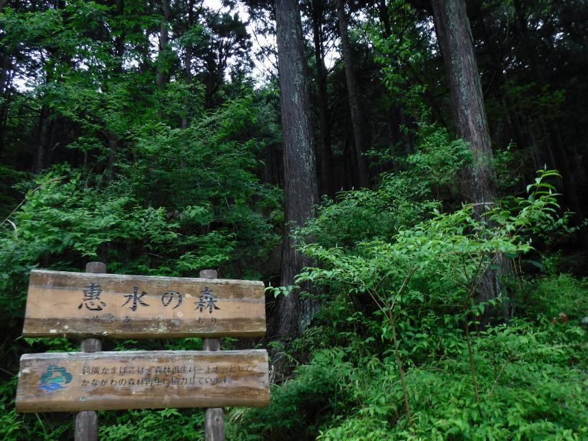 鈴廣看板写真