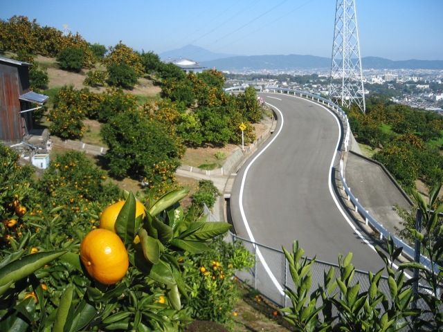 早川石橋地区の基幹農道