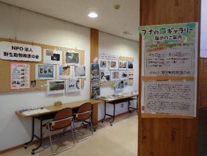 ブナの森ギャラリーの様子1