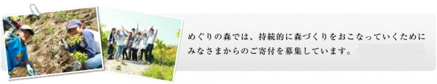 めぐりの森では、持続的に森づくりをおこなっていくために、みなさまからのご寄付を募集しています。