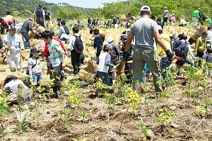 植樹活動