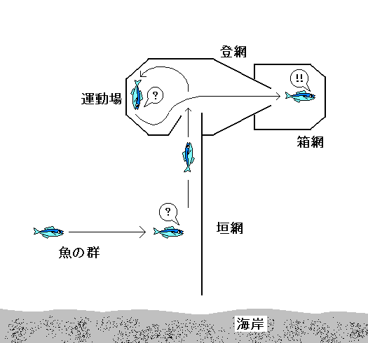 定置網に魚が入る様子