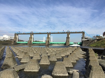 B地点（堰の下流左岸側）から撮影した写真